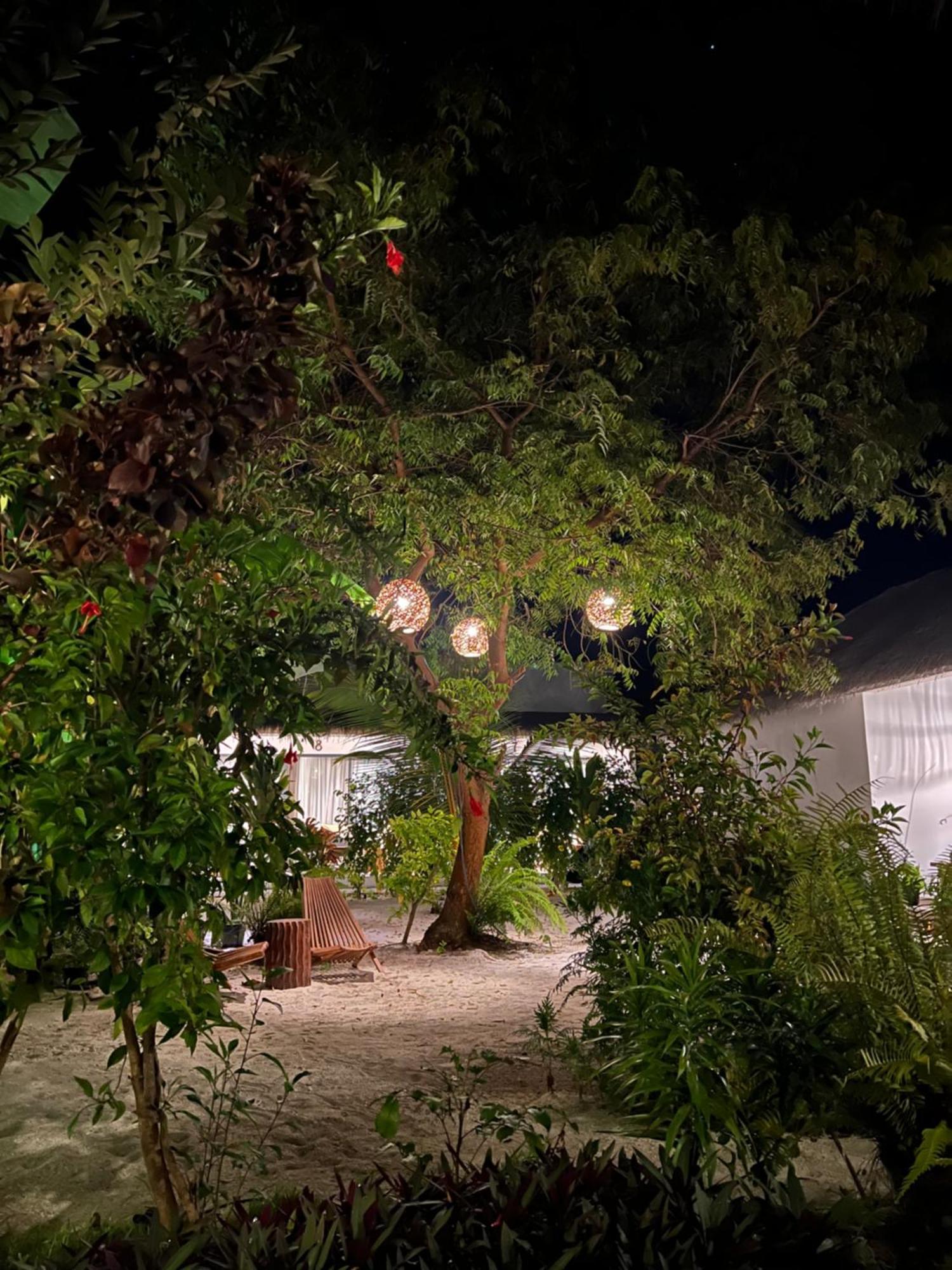 Coco Villa Thoddoo Esterno foto