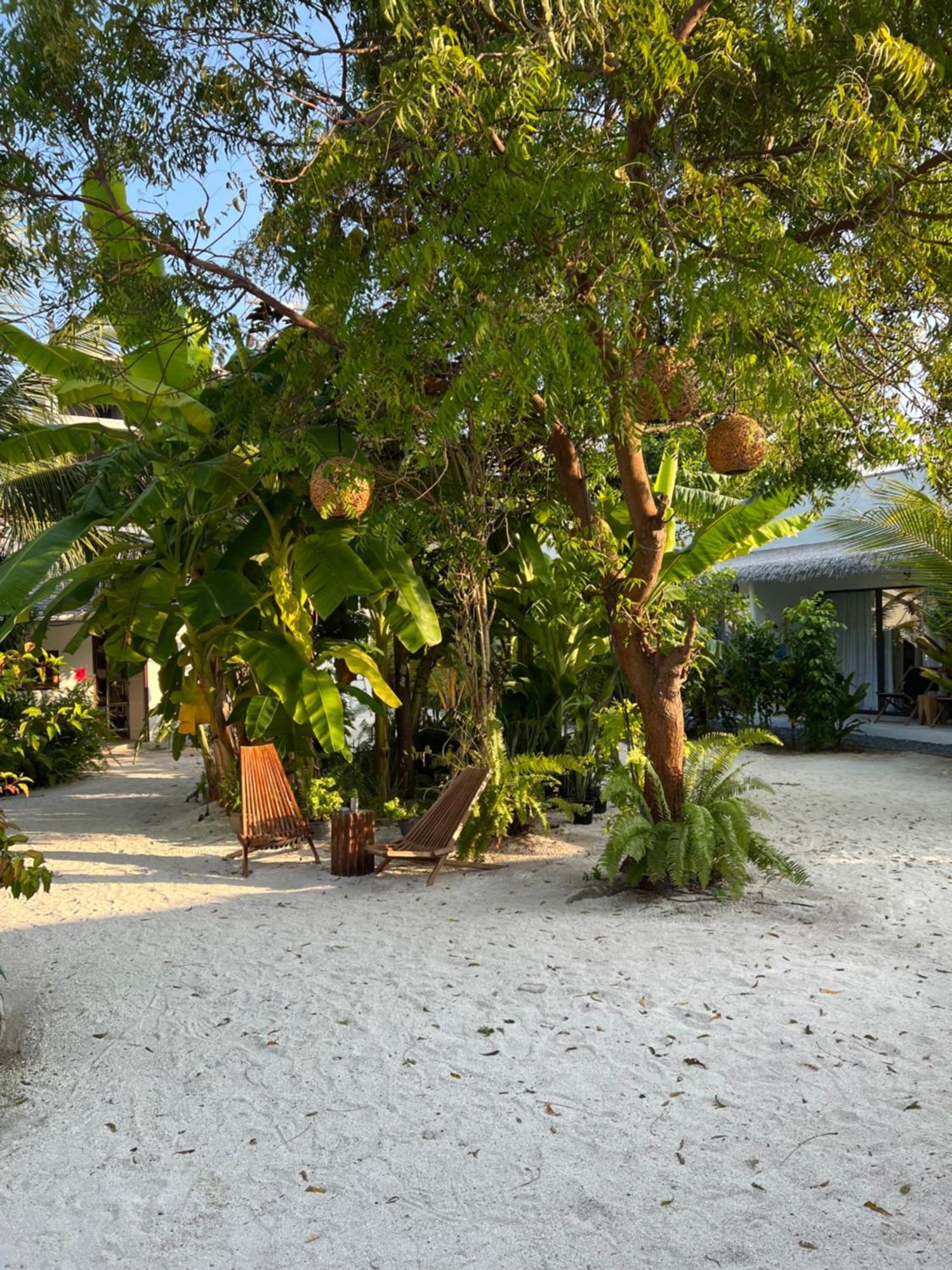 Coco Villa Thoddoo Esterno foto